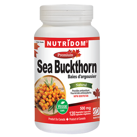 Sea Buckthorn