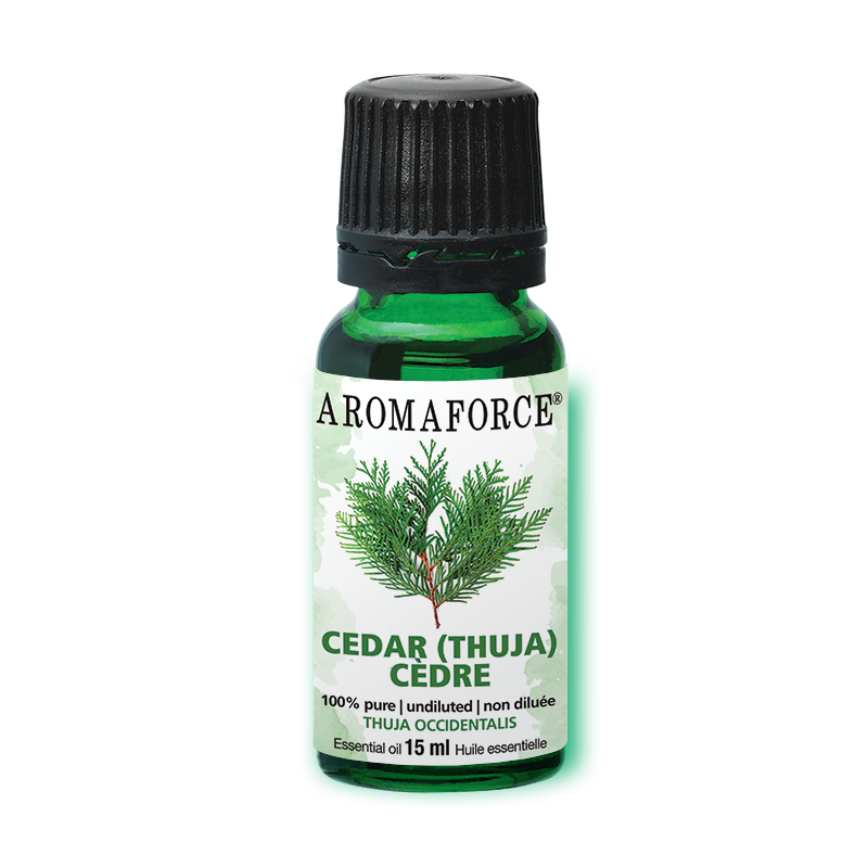 Cedar Essential Oil